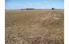 Property photo 32 - 127 Acres Offered in 4 Tracts